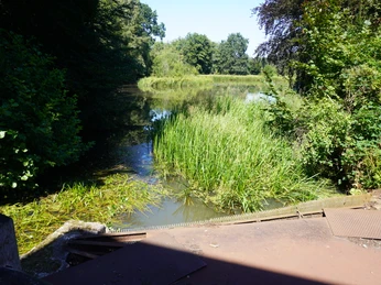 Eitzer Mühle Ein kleiner, im Grünen gelegener Fluss, der von üppiger Vegetation und großen Bäumen umgeben ist.