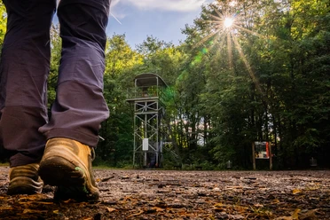 Bergbauweg Ein Wanderer nähert sich einem Aussichtsturm im Wald, während die Sonne durch die Bäume scheint.
