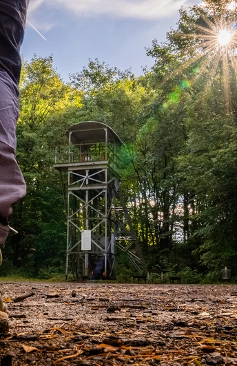 Bergbauweg Ein Wanderer nähert sich einem Aussichtsturm im Wald, während die Sonne durch die Bäume scheint.