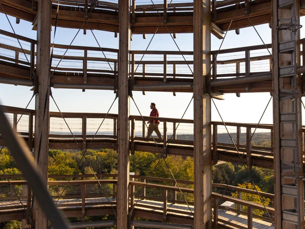 Panarbora Mensch spaziert auf einem hölzernen Baumkronenpfad mit Blick auf weite, grüne Landschaft und blauen Himmel.
