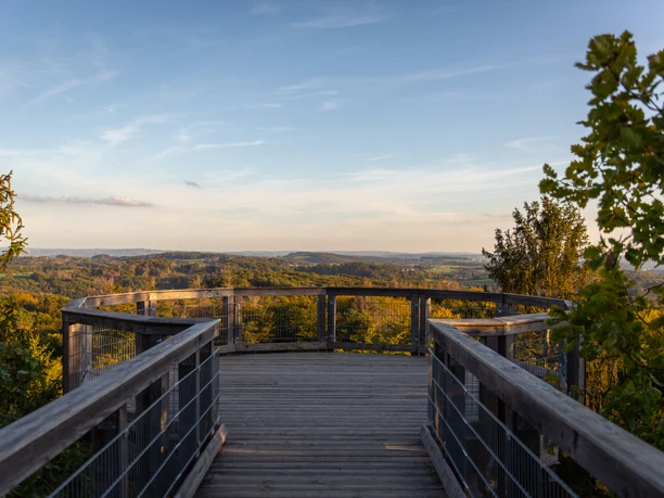 Panarbora Holzplattform mit Geländer inmitten grüner Hügel, bietet weiten Blick bis zum Horizont.