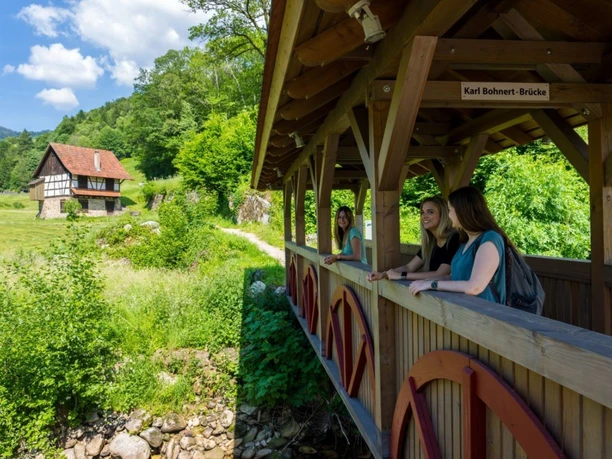 Mühle am Hagenstein