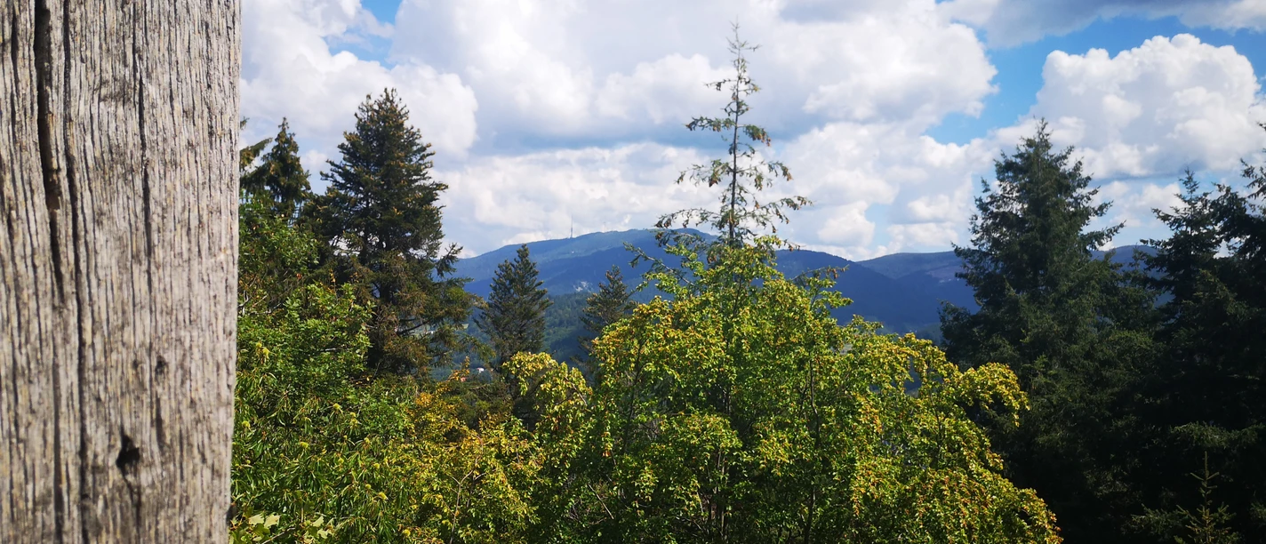 Ausblick Sesselfelsen