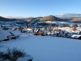 Aussicht Winter Ferienwohnung Rosemarie Haist