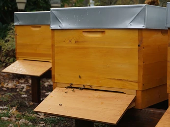 BienenWerk Goslar - Bienenwohnungen BienenWerk Goslar - Bienenwohnungen