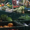 himmelpforten-ausschnitt-gemuese-wochenmarkt-fuer-veranstaltungskalender