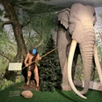 Ein prähistorischer Mensch steht mit Speer neben einem beeindruckend nachgebildeten Mammut im Museum.A prehistoric man with a spear stands next to an impressive replica of a mammoth in the museum.En forhistorisk mand med et spyd står ved siden af en imponerende kopi af en mammut på museet.Een prehistorische man met een speer staat naast een indrukwekkende replica van een mammoet in het museum.
