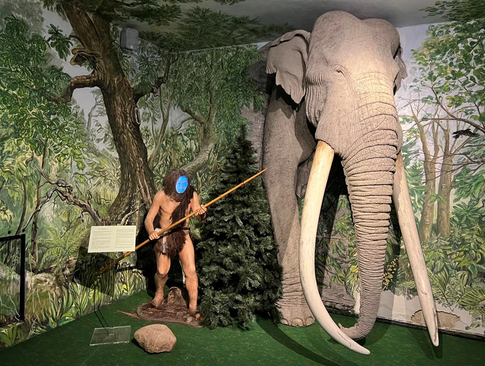 Ein prähistorischer Mensch steht mit Speer neben einem beeindruckend nachgebildeten Mammut im Museum.A prehistoric man with a spear stands next to an impressive replica of a mammoth in the museum.En forhistorisk mand med et spyd står ved siden af en imponerende kopi af en mammut på museet.Een prehistorische man met een speer staat naast een indrukwekkende replica van een mammoet in het museum.