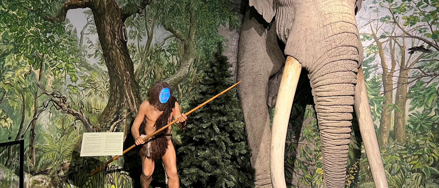 Museum Domherrenhaus A prehistoric man with a spear stands next to an impressive replica of a mammoth in the museum.