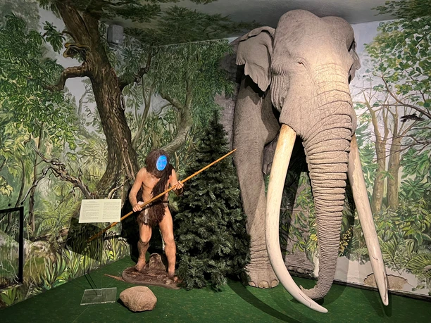 Museum Domherrenhaus Ein prähistorischer Mensch steht mit Speer neben einem beeindruckend nachgebildeten Mammut im Museum.