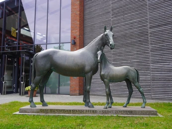 Skulptur einer Mutterstute mit Fohlen aus Bronze auf einem Rasen vor einem modernen Gebäude in Verden.