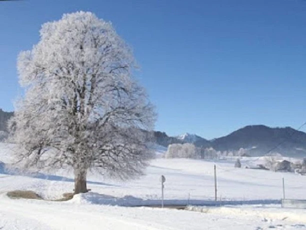Winterlandschaft