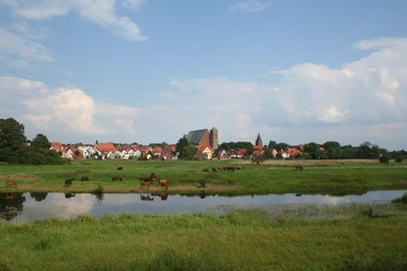A look at the equestrian city of Verden
