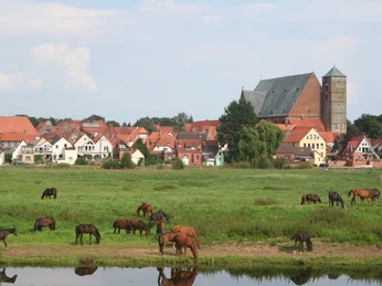 Ein Besuch in der Reiterstadt Verden Ein Besuch in der Reiterstadt Verden