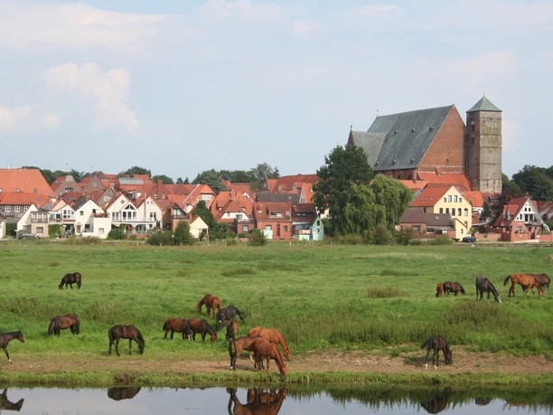 Ein Besuch in der Reiterstadt Verden Ein Besuch in der Reiterstadt Verden