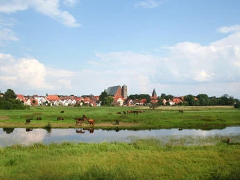 Reiterstadt Verden Historische Skyline von Verden mit Pferden auf der Weide, im Hintergrund die imposante Domkulisse.Historic skyline of Verden with horses in the pasture, in the background the imposing cathedral backdrop.Historisk skyline af Verden med heste på græs, i baggrunden den imponerende domkirke.Historische skyline van Verden met paarden in de wei, op de achtergrond de imposante kathedraal.