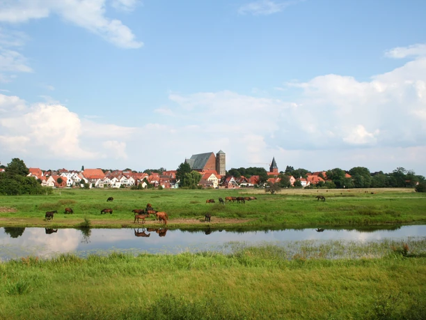 Reiterstadt Verden Historic skyline of Verden with horses in the pasture, in the background the imposing cathedral backdrop.