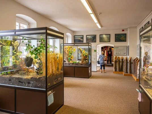 Ausstellung im Kreismuseum Bitterfeld@Uwe Weigel, CC BY-SA, Welterberegion Anhalt Dessau Wittenberg IMG Sachsen-Anhalt mbH.jpg