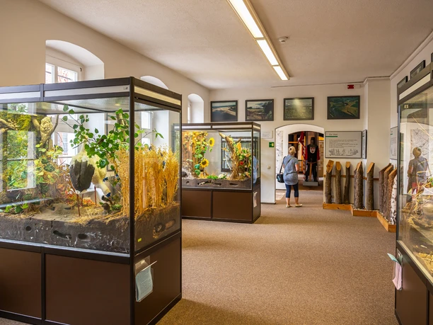 Ausstellung im Kreismuseum Bitterfeld@Uwe Weigel, CC BY-SA, Welterberegion Anhalt Dessau Wittenberg IMG Sachsen-Anhalt mbH.jpg