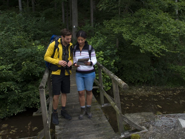 Wanderer auf dem AU1 Wanderer auf dem AU1