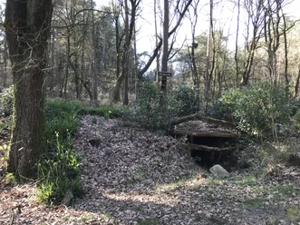 Hundewelle Börger ©Naturpark Hümmling.JPG Holzeingang einer historischen Quelle im Wald des Naturparks Hümmling bei Börger im Emsland