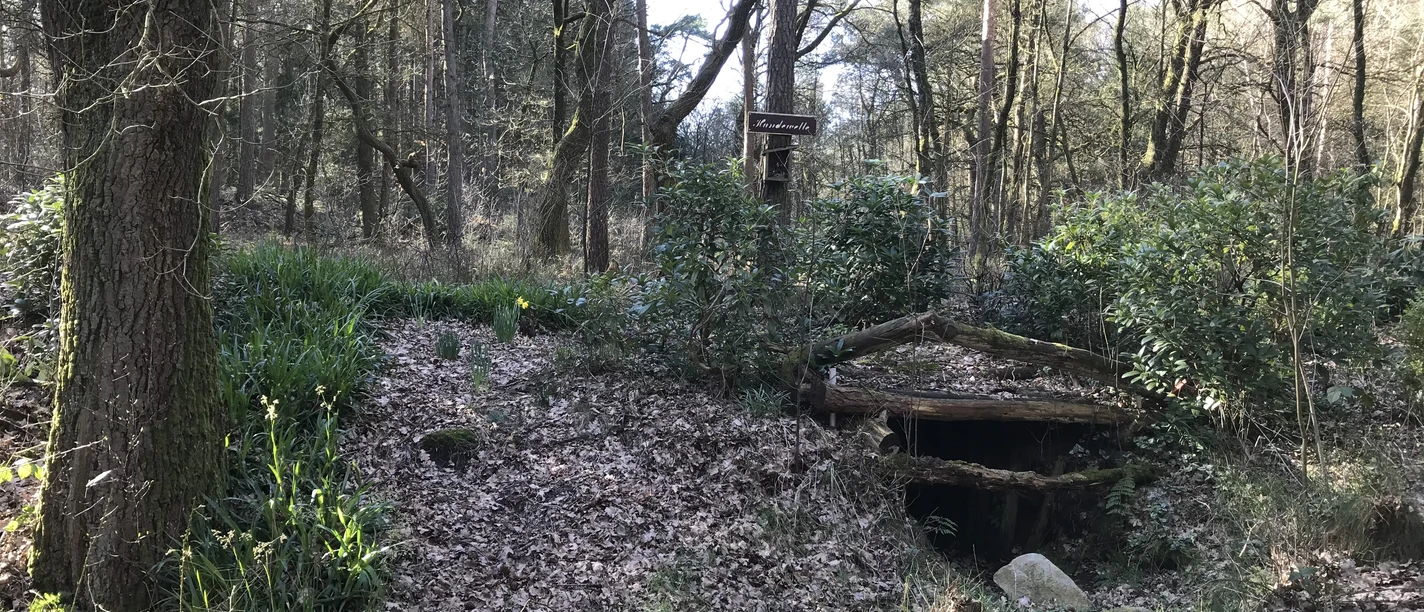 Hundewelle Börger ©Naturpark Hümmling.JPG Holzeingang einer historischen Quelle im Wald des Naturparks Hümmling bei Börger im Emsland