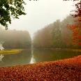 Waldpark von Schloss Clemenswerth in Sögel, Herbstspaziergang ©Naturpark Hümmling (8).jpg