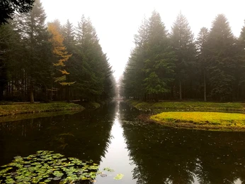 Waldpark von Schloss Clemenswerth in Sögel, Herbstspaziergang ©Naturpark Hümmling (13).jpg