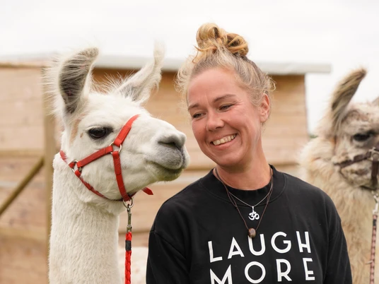 Lamasté - Dein Weg mit dem Lama Lamasté - Dein Weg mit dem Lama