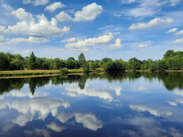 Raddesee ©Naturpark Hümmling_Reinhold Stehr.jpg Klarer See mit Spiegelung von Wolken und Bäumen unter blauem Himmel im Naturpark Hümmling