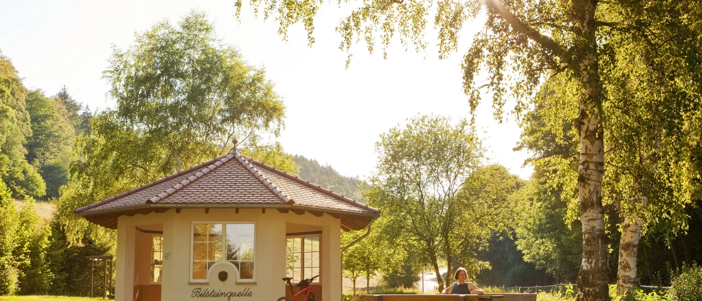 BKW11-067_MG_6376_Bilsteinquelle_KatharinaJaeger.jpg