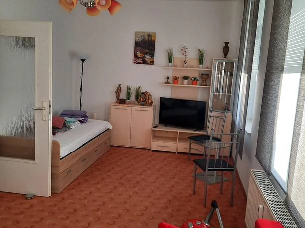 Wohn-/Schlafraum mit TV