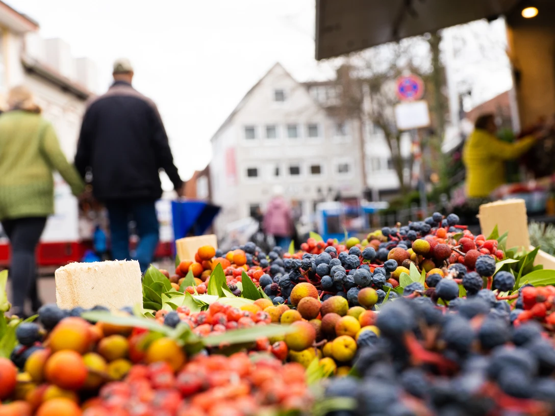 Wochenmarkt Melle