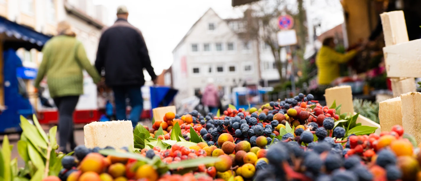 Wochenmarkt Melle