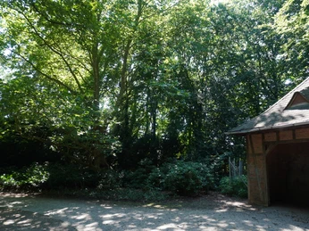 Eine rustikale, hölzerne Hütte neben dichtem, grünem Laub im Rhododendron-Park Verden.
