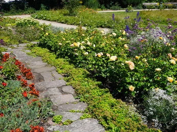Ein gepflegter Rosengarten mit bunten Blumenrabatten und einem geschwungenen, steinernen Weg.