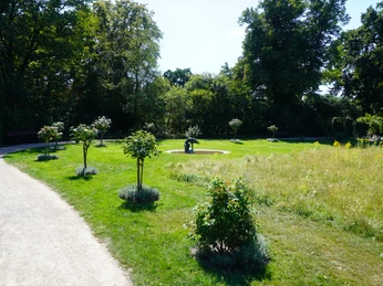 Ein gepflegter Rosengarten mit blühenden Sträuchern unter blauem Himmel inmitten üppiger Vegetation.