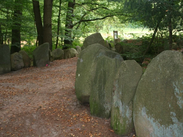 Large, upright boulders form a circular, historic stone circle in the forest.