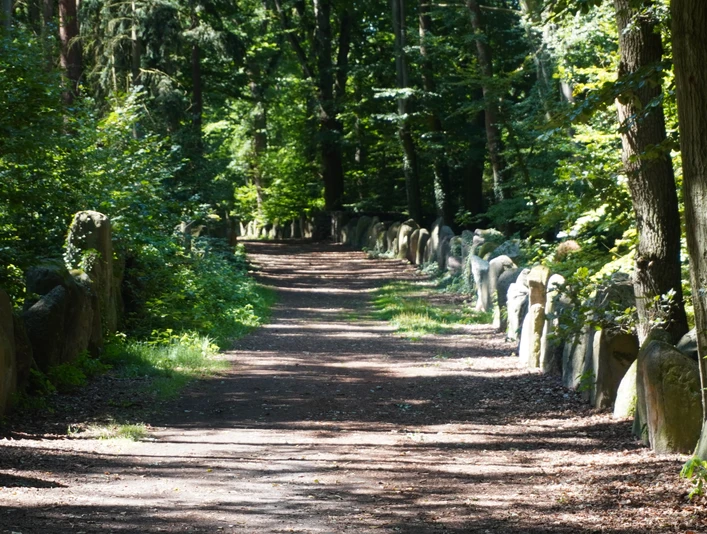 Ein von Bäumen gesäumter, schattiger Weg führt vorbei an großen, aufrecht stehenden Steinen.
