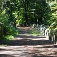 Sachsenhain Verden Ein von Bäumen gesäumter, schattiger Weg führt vorbei an großen, aufrecht stehenden Steinen.
