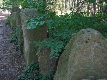 Große Steine umsäumt von grünen Pflanzen säumen einen schattigen Waldweg im Sachsenhain, Verden.