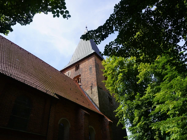 Backsteinkirche mit hohem Turm und spitzem Dach, umgeben von grünen Bäumen, vor blauem Himmel.