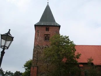 Die St. Andreaskirche in Verden präsentiert Backsteinarchitektur, umgeben von blühenden Bäumen.