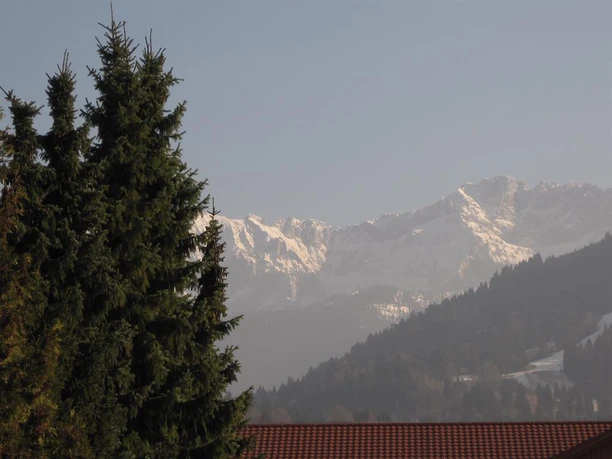 IMG_1358