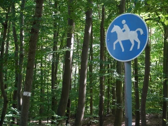 Das Bild zeigt ein Reitwegschild in einem dichten, grünen Stadtwald mit hohen Bäumen bei Verden.