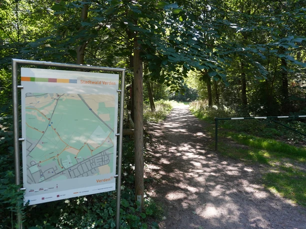 Stadtwald Verden Ein gepflegter Waldweg im Stadtwald Verden, gesäumt von grünen Bäumen unter sonnigem Himmel.