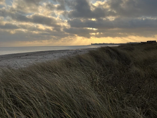 Strand_Kronsgaard_Noemi Szymanowski (1).JPG