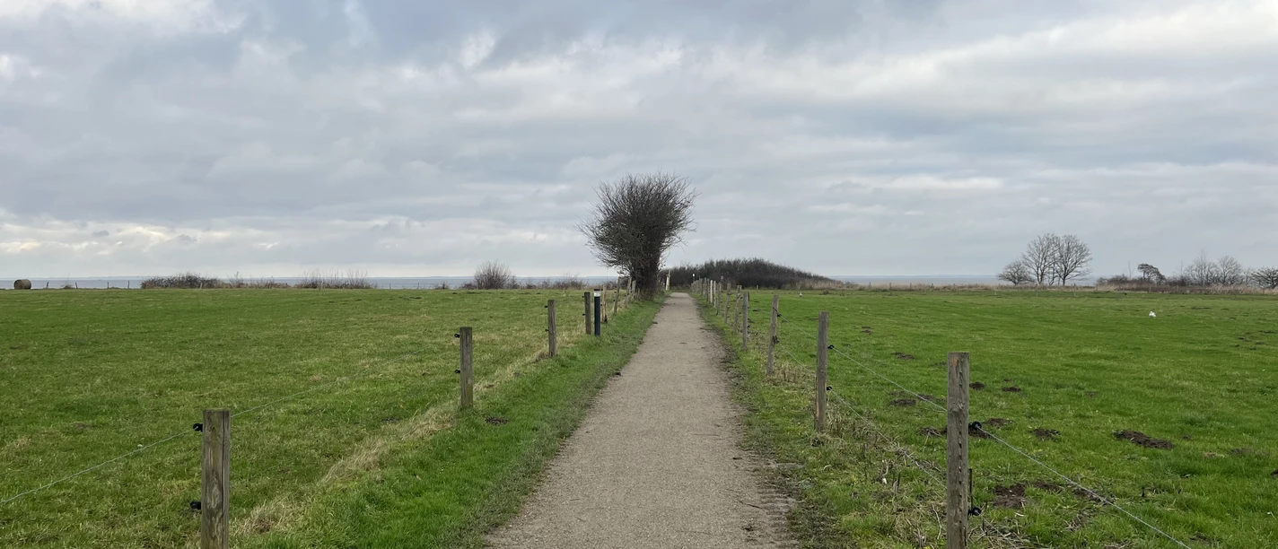 Steinberg,Niesgrau_Hunhoi_Noemi Szymanowski (1).JPG