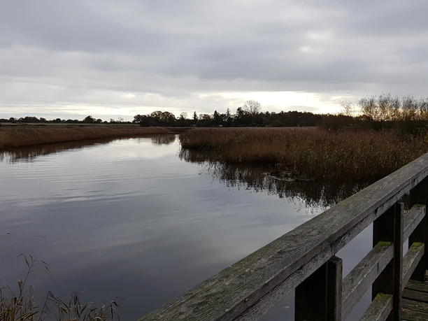 2017-10-31 Füsing - J. Thurow.jpg