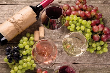 Weinprobe: edle Tropfen aus dem Ahrtal